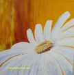 Frühlingsblume in weiß (Kopie).jpg