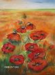 klatschmohn (Kopie).jpg