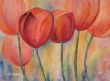 rote tulpen (Kopie).jpg