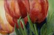 rote Tulpen 4 (Kopie).jpg
