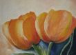 Tulpen 3 (Kopie).jpg